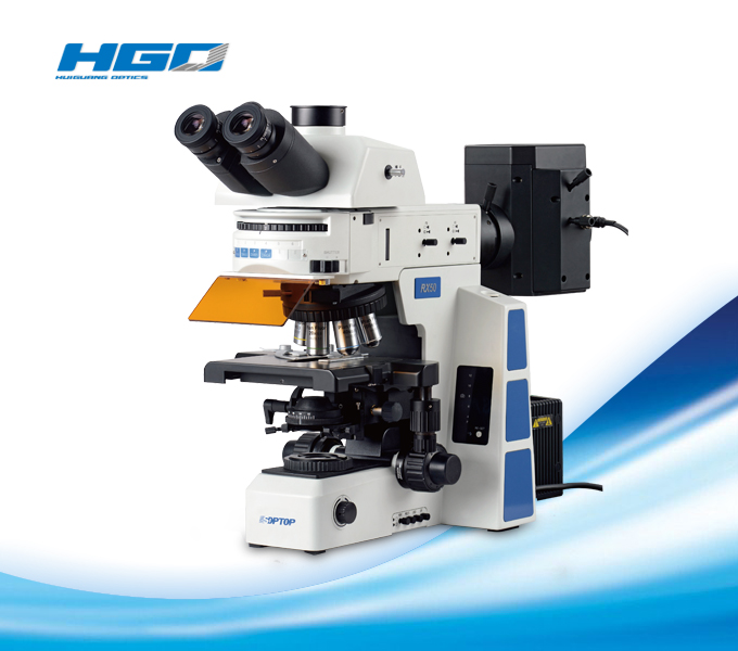 Fluorescence Microscope